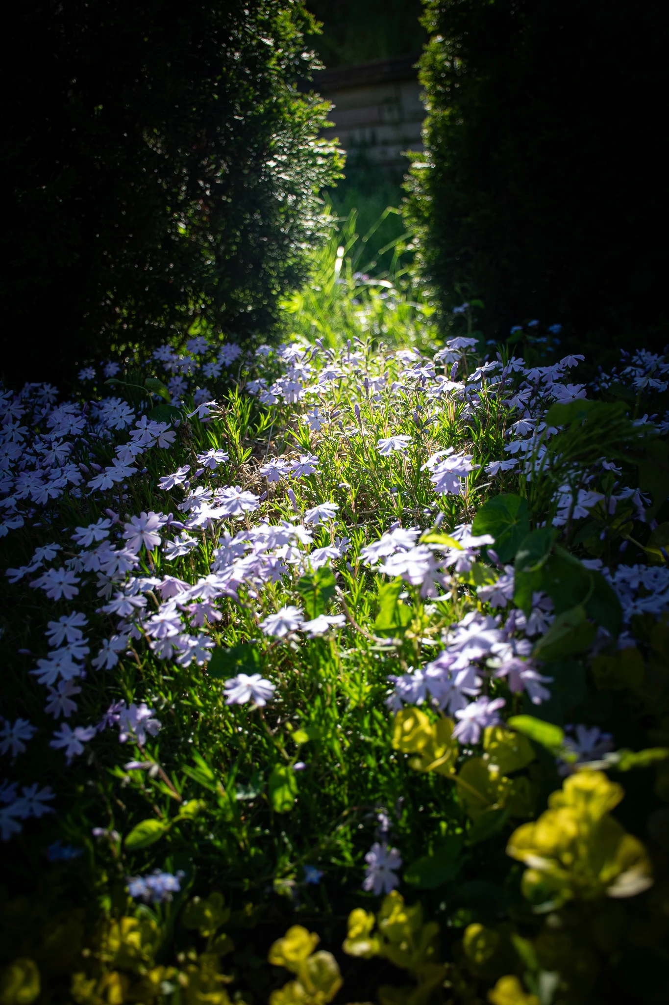 From the album: Nature