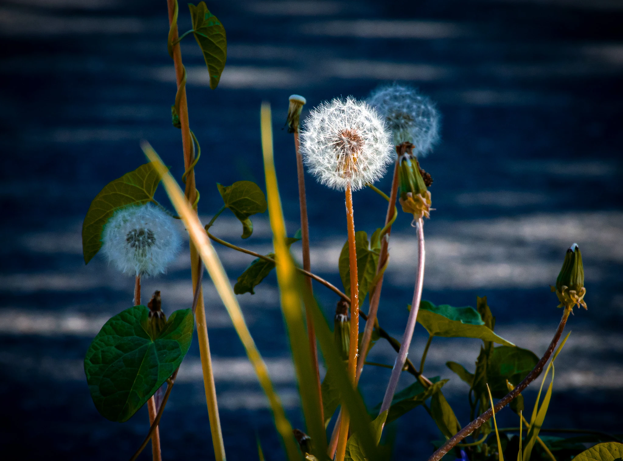 From the album: Nature