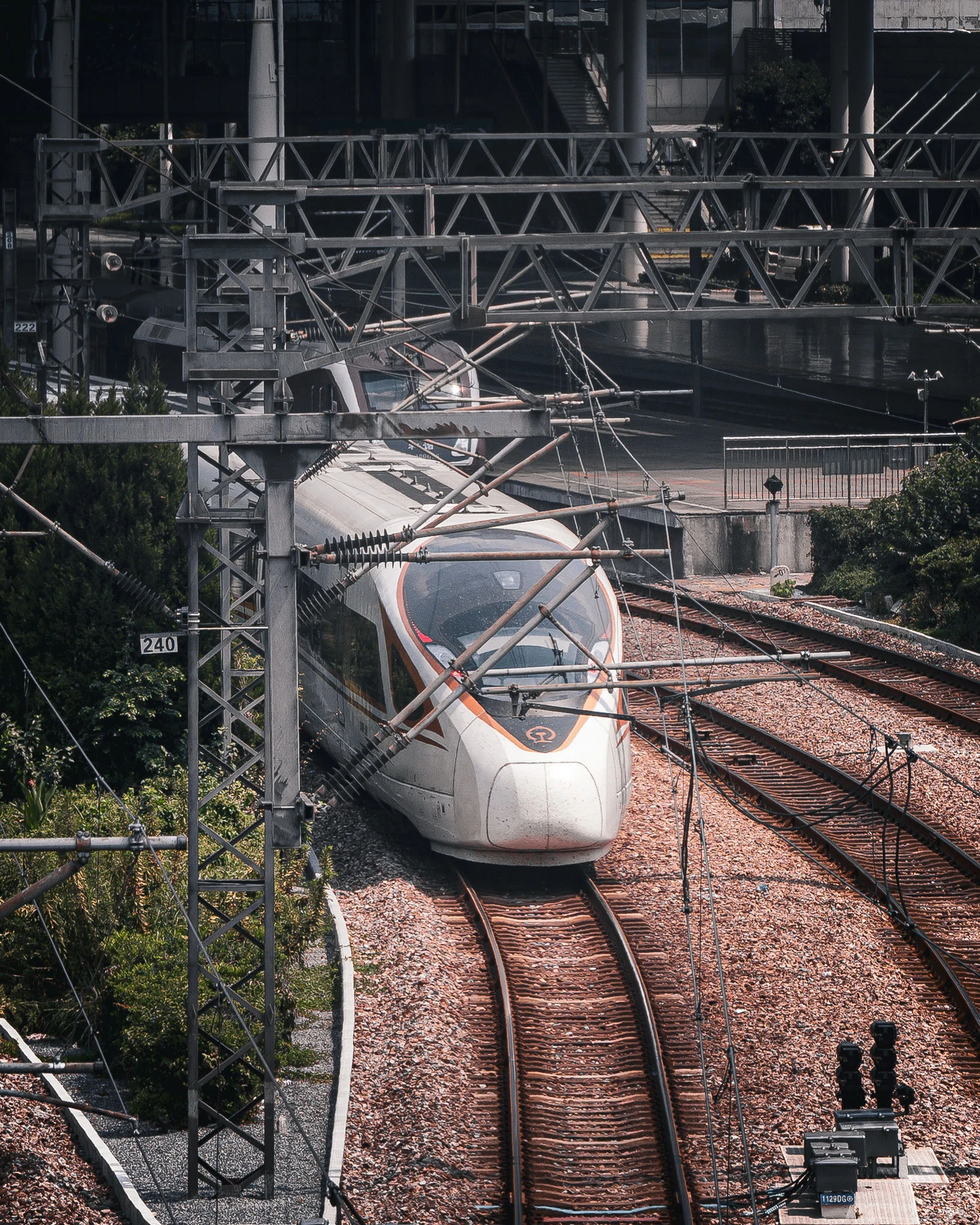 From the album: Shanghai