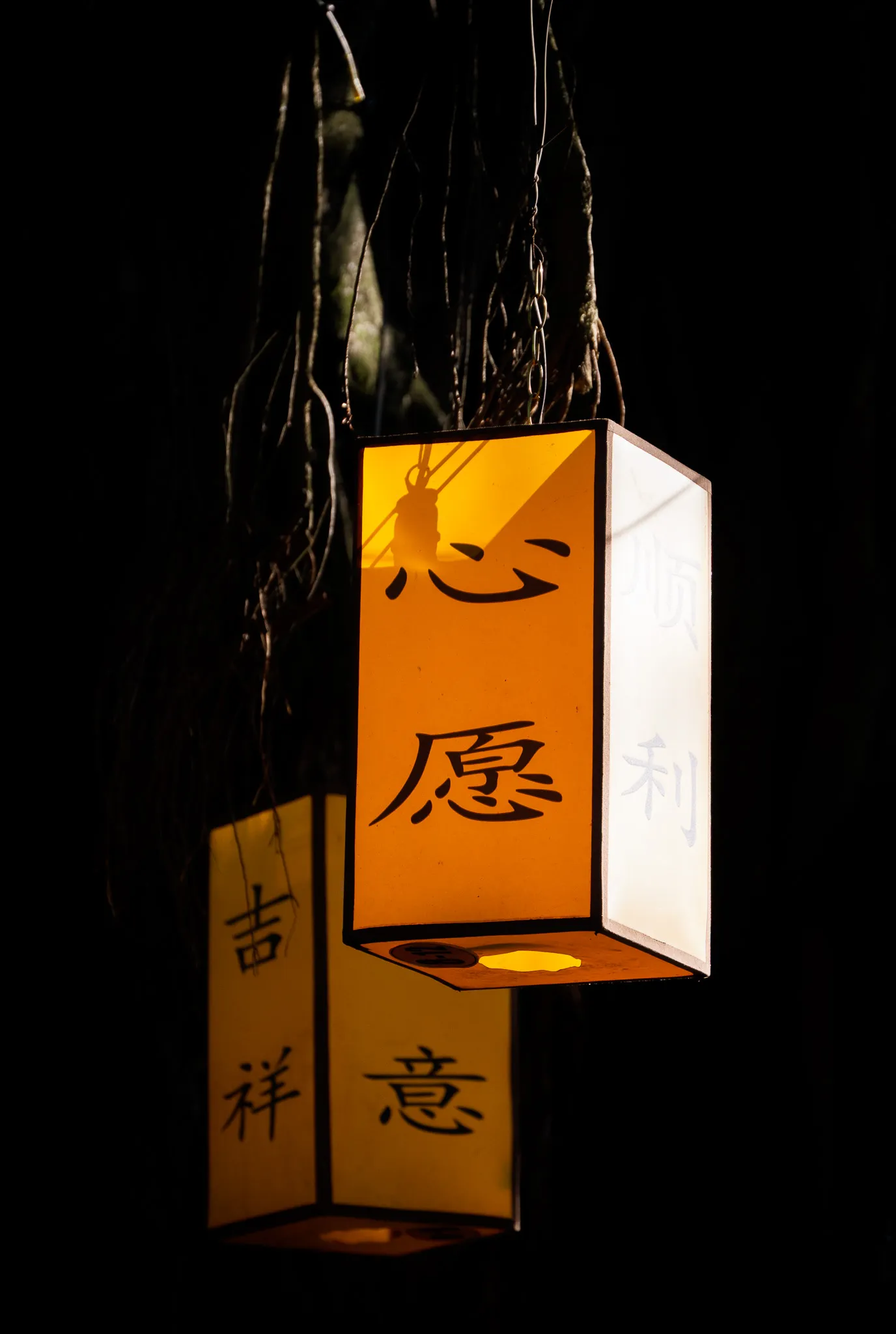 From the album: Guangzhou