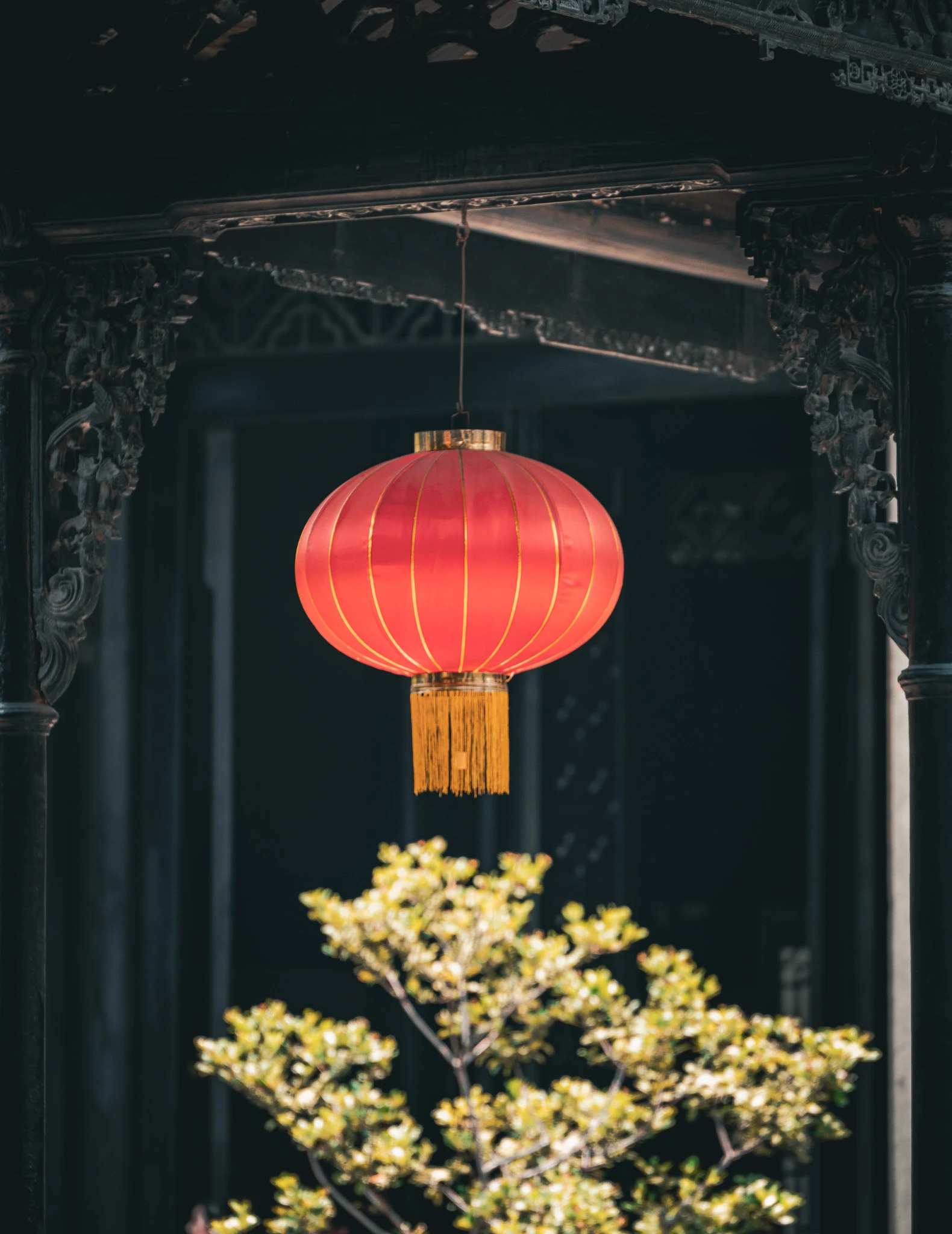 From the album: Guangzhou