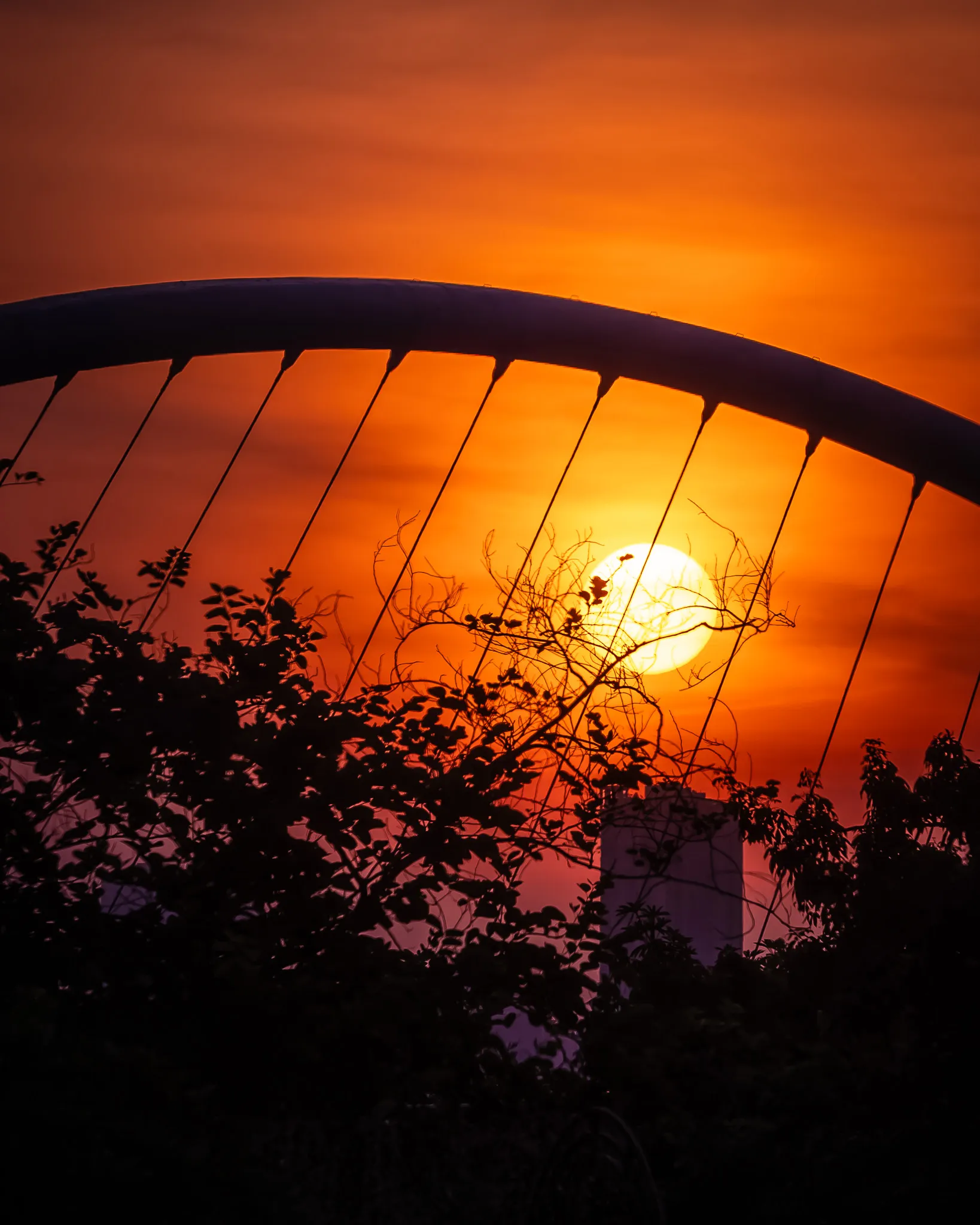 From the album: Guangzhou