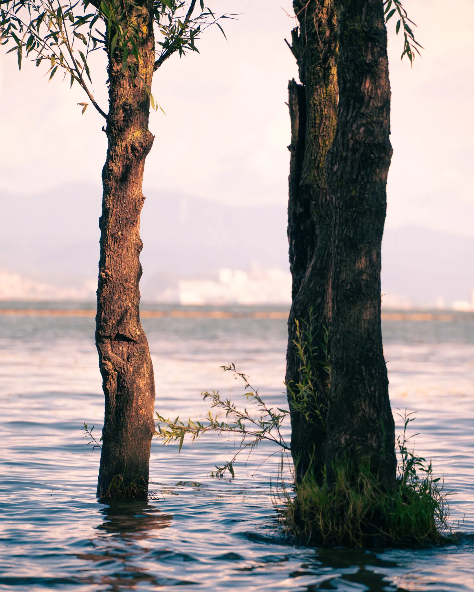 From the album: Yunnan