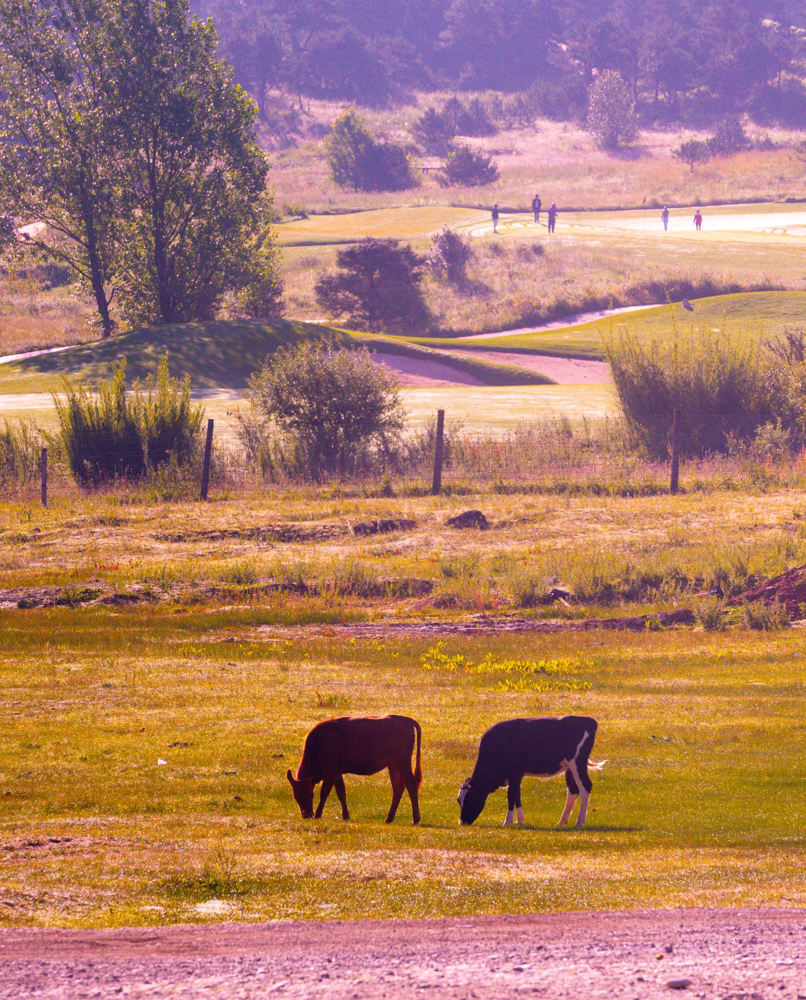 From the album: Yunnan